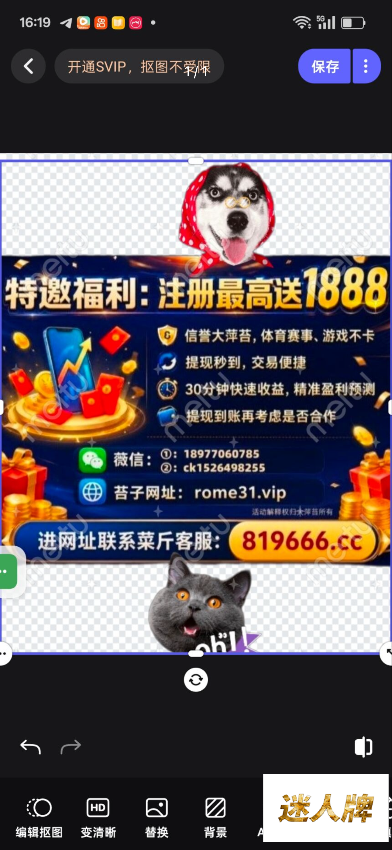 点击查看详情